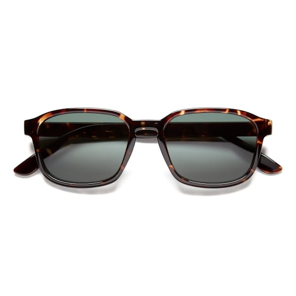 Sunseekers Sunglasses