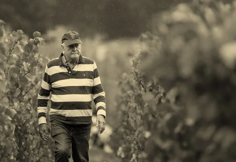 Brian Croser in vineyard