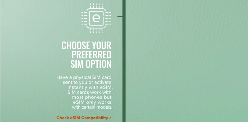 Choose your preferred SIM option