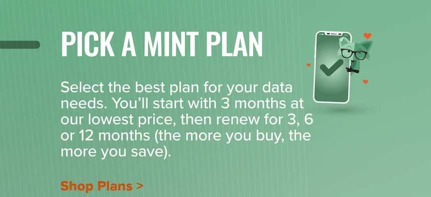 Pick a Mint Plan