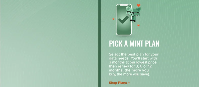 Pick a Mint Plan