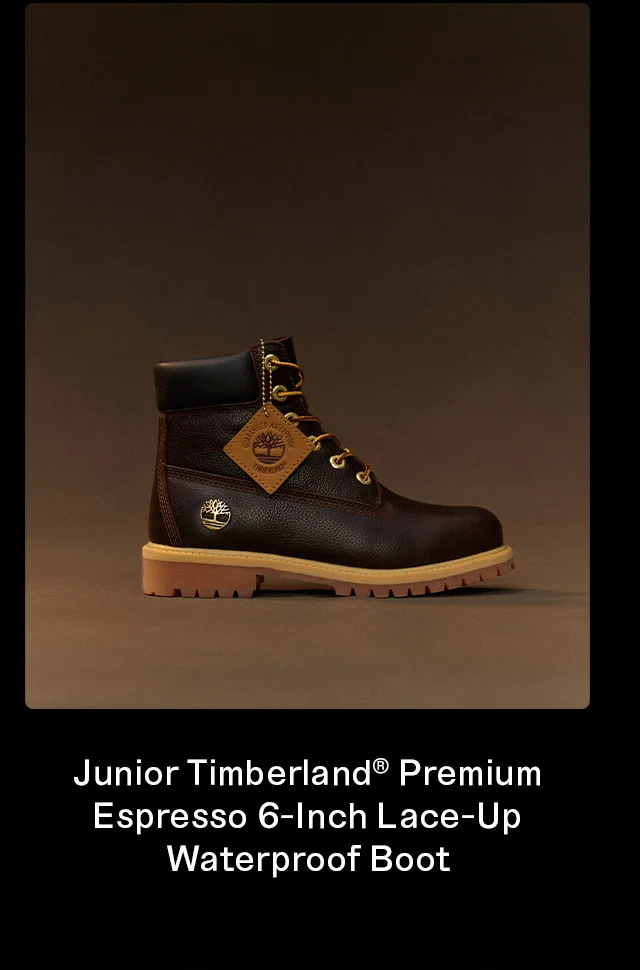 Junior Timberland Premium Espresso 6 Inch Lace Up Waterproof Boot