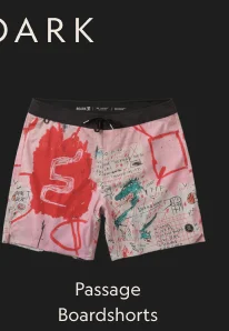 Passage Basquiat Boardshorts
