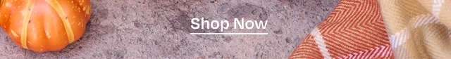 Shop Now - Image