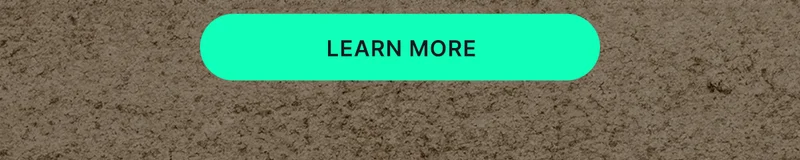 LEARN MORE