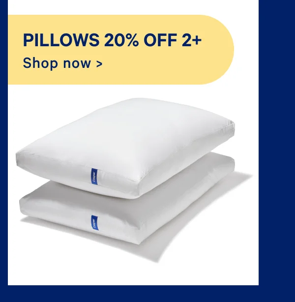 Pillows 20% off 2+