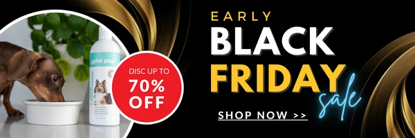 Early Black Friday Sale