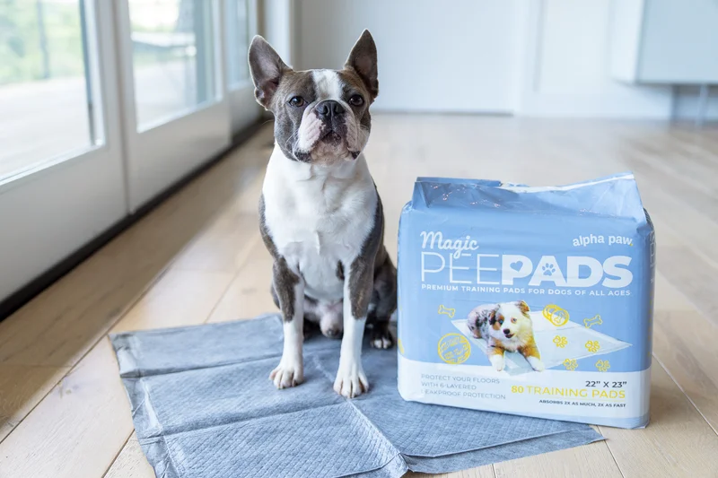 Pee Pads