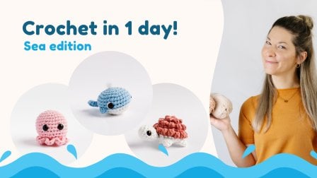 Learn to Crochet in a Day: Make 3 Sea Animals & Level Up Your Skills!