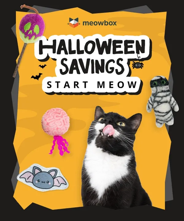 Halloween savings start meow! Image of a black and white cat, licking it's lips and staring at the Tricks, Treats or Toe Beans meowbox toys (Crunchy Cat-O-Lantern, 100% Wool Bandaged Buddy, Meow Brainer 2 Pack Catnip, Batty for Catnip toys)
