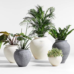 Ophelia Black Medium Planter