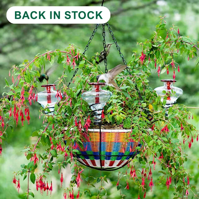 Hanging Basket Hummingbird Feeder