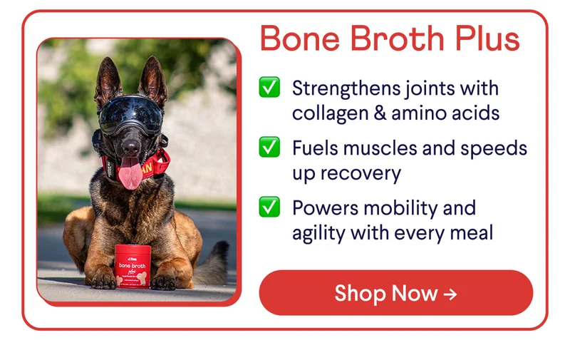 Bone Broth Plus: ✅ Strengthens joints with collagen & amino acids ✅ Fuels muscles and speeds up recovery ✅ Powers mobility and agility with every meal | Shop Now ->
