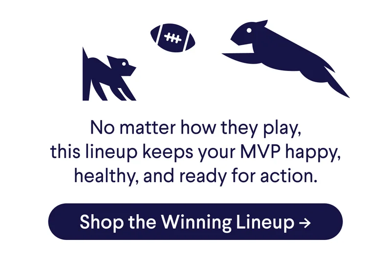 No matter how they play, this lineup keeps your MVP happy, healthy, and ready for action! Shop the Winning Lineup ->