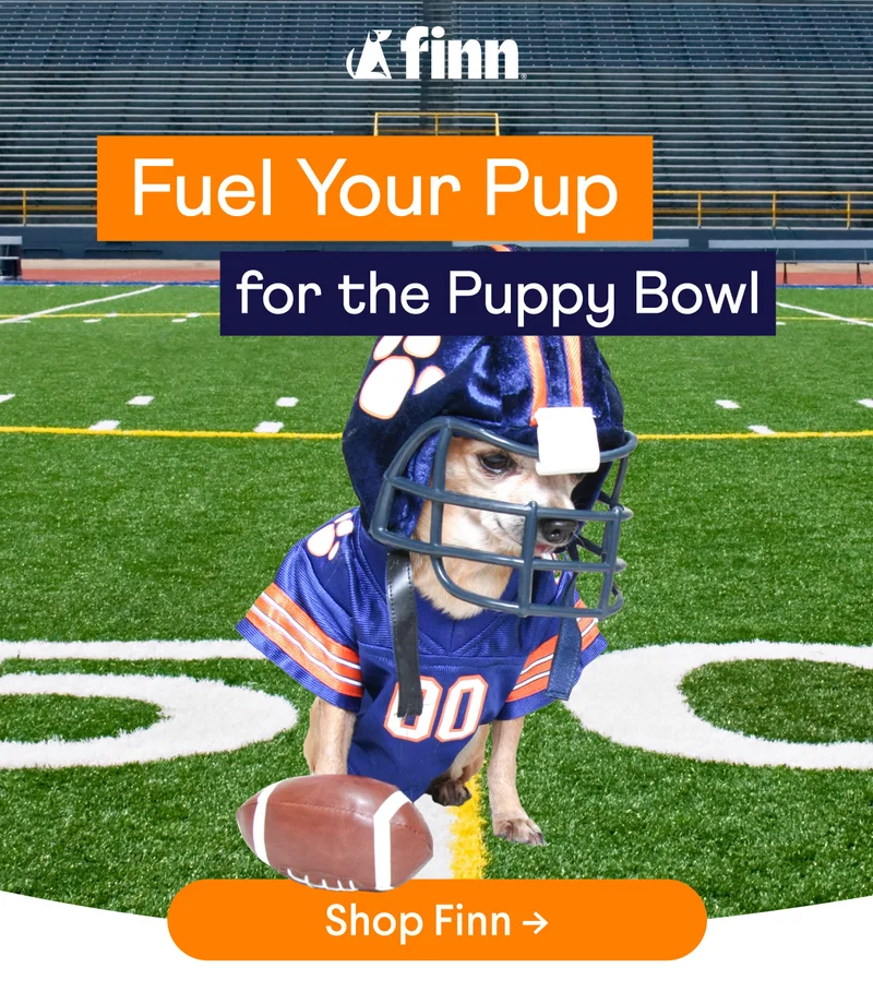 Fuel Your Pup for the Puppy Bowl! Meet their dream line up | Shop Finn –>