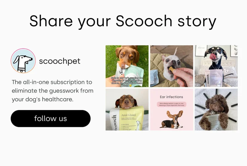 Share your Scooch story