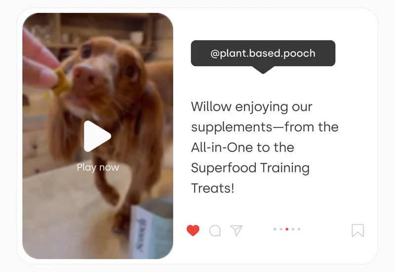 Willow, enjoying our supplements from the All-in-One to the Superfood Training Treats!