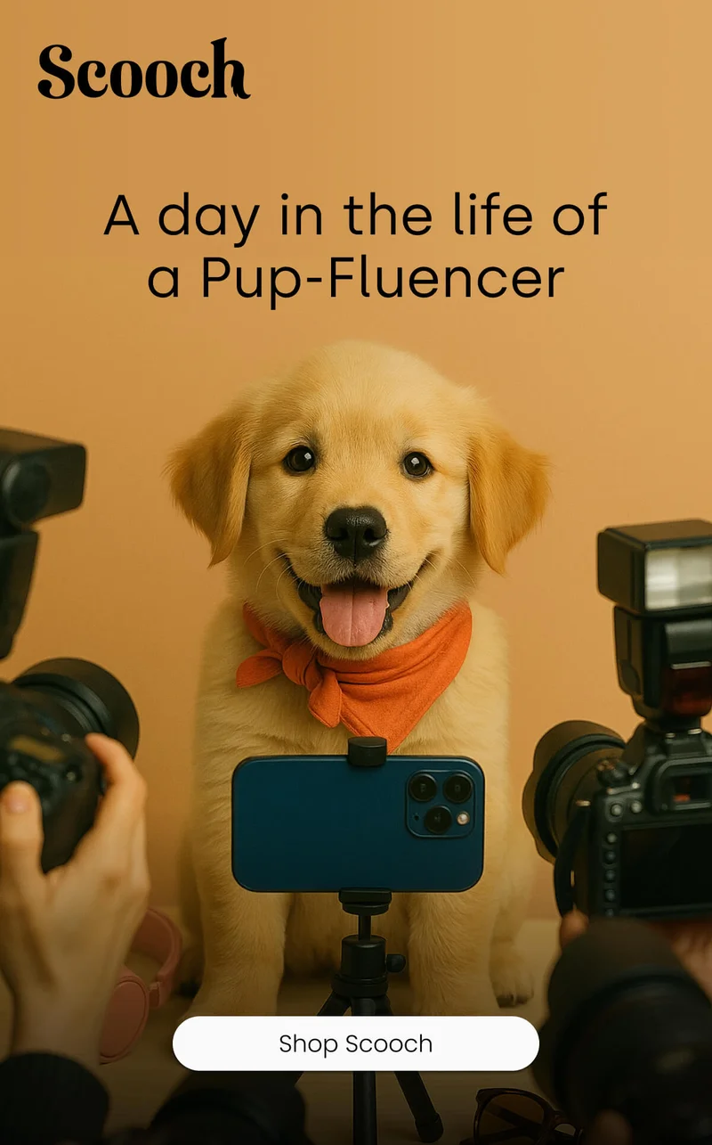 A day in the life of a Pup-Fluencer