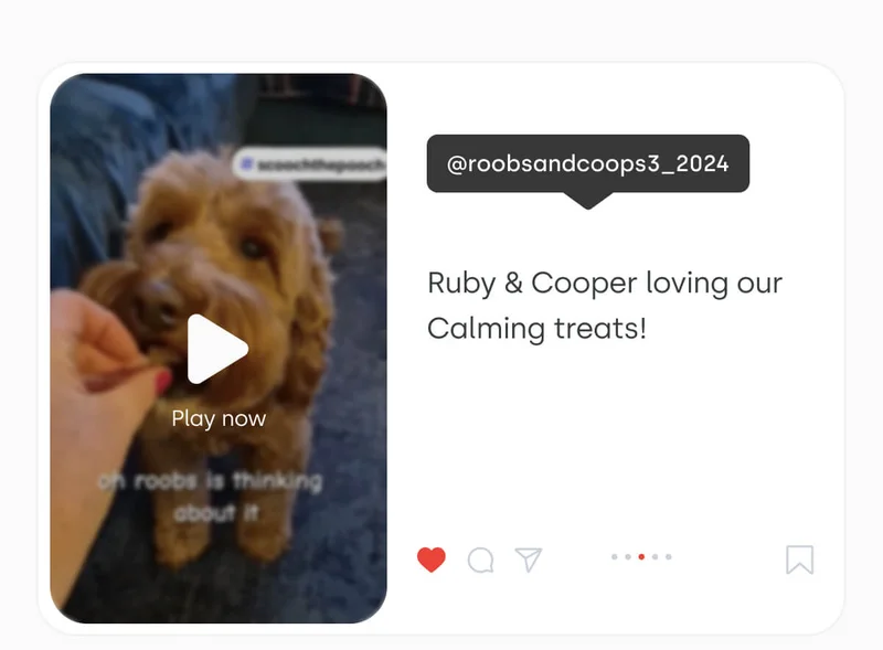 Ruby & Cooper loving our Calming treats!