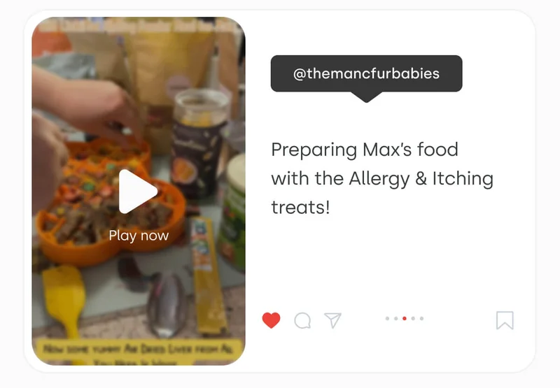 @themancfurbabies preparing Max’s food with the Allergy & Itching treats!