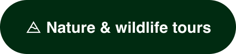 Nature & wildlife tours. Image Description: A mountain icon.