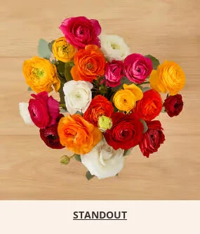 Flowers At a Great Price