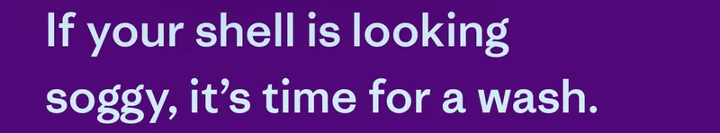 If your shell is looking soggy, it’s time for a wash.