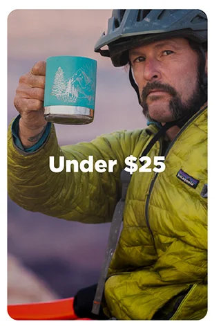 Under $25
