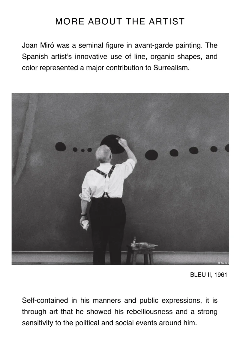 More about Miro