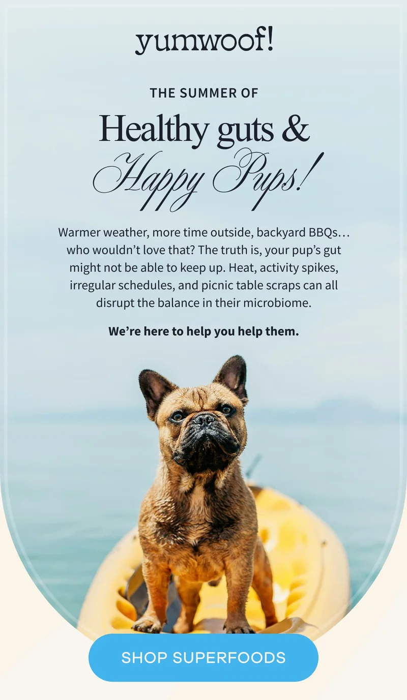 Yumwoof! | THE SUMMER OF HEALTHY GUTS & HAPPY PUPS! | Warmer weather, more time outside, backyard BBQs…who wouldn’t love that? The truth is, your pup’s gut might not be able to keep up. Heat, activity spikes, irregular schedules, and picnic table scraps can all disrupt the balance in their microbiome. We’re here to help you help them. | SHOP SUPERFOODS
