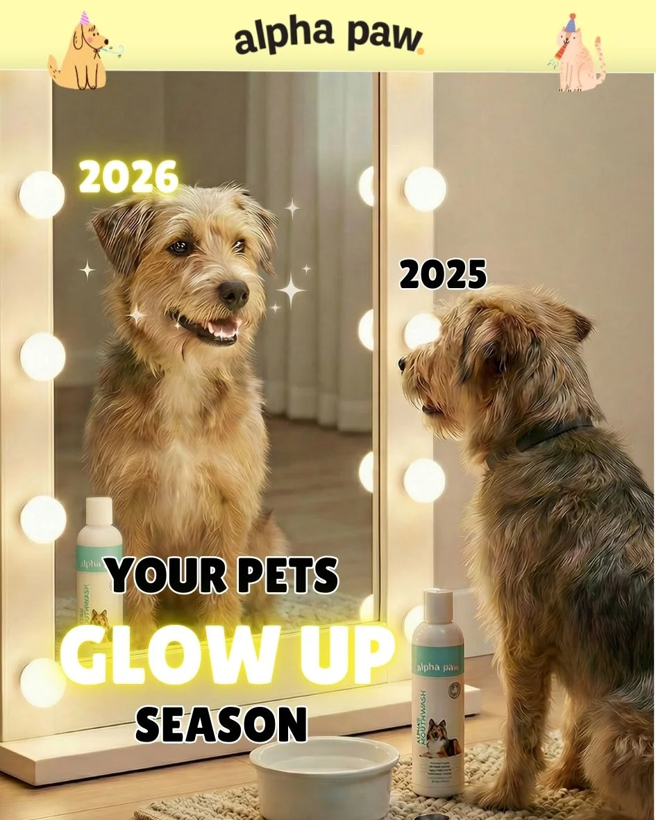 Glow up teeth Glow up teeth