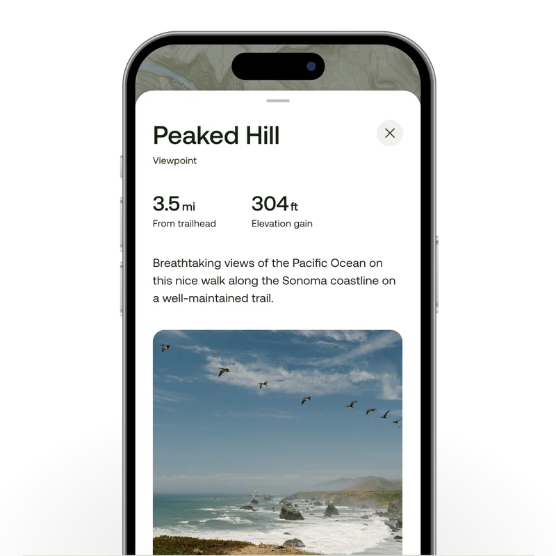 Image of phone showcasing a point of interest information page