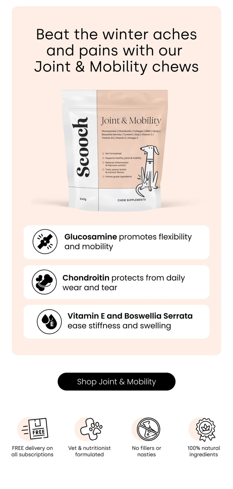 Beat the winter aches and pains with our  Joint & Mobility chews