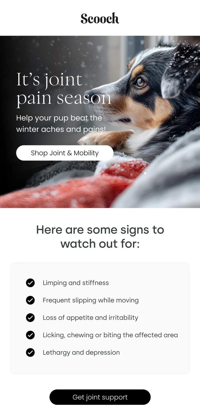 Help your pup beat the winter aches and pains! - Shop Joint & Mobility
