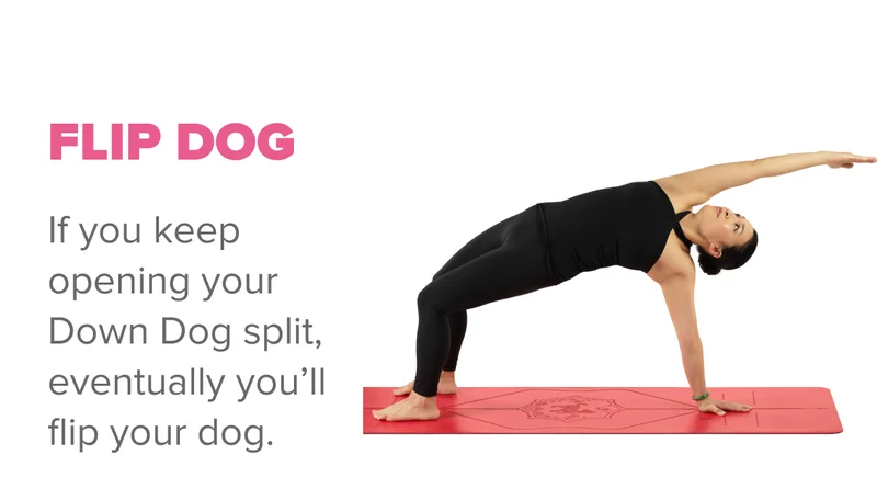 Flip Dog