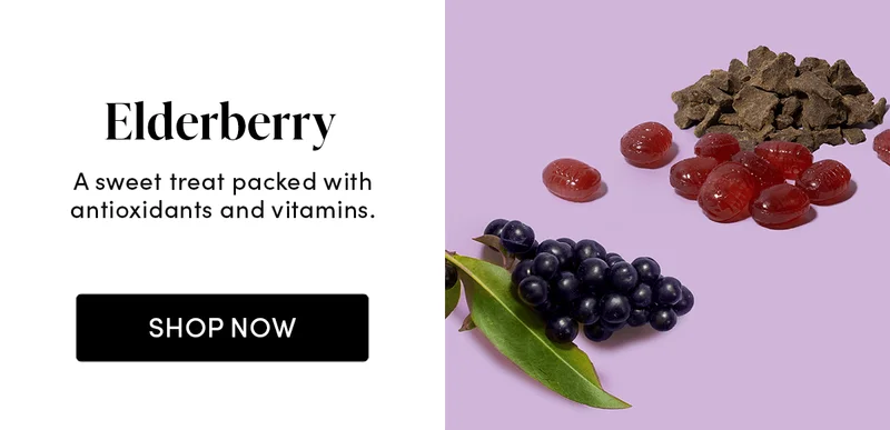 Elderberry