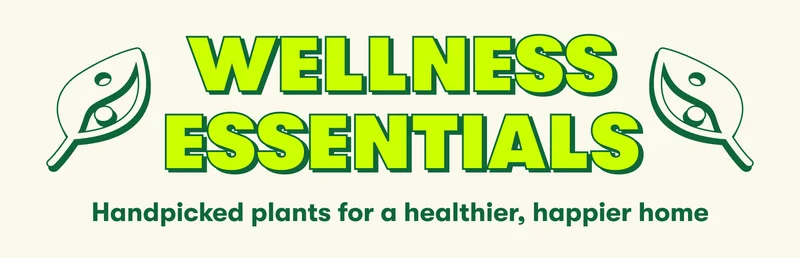 WELLNESS ESSENTIALS Handpicked plants for a healthier, happier home