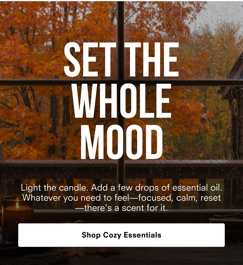Shop Cozy Essentials