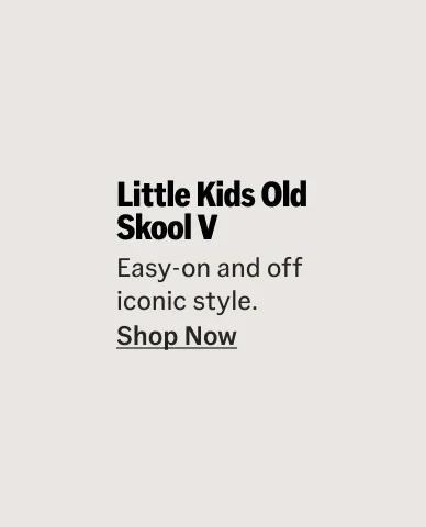 Little Kids Old Skool V Shoe