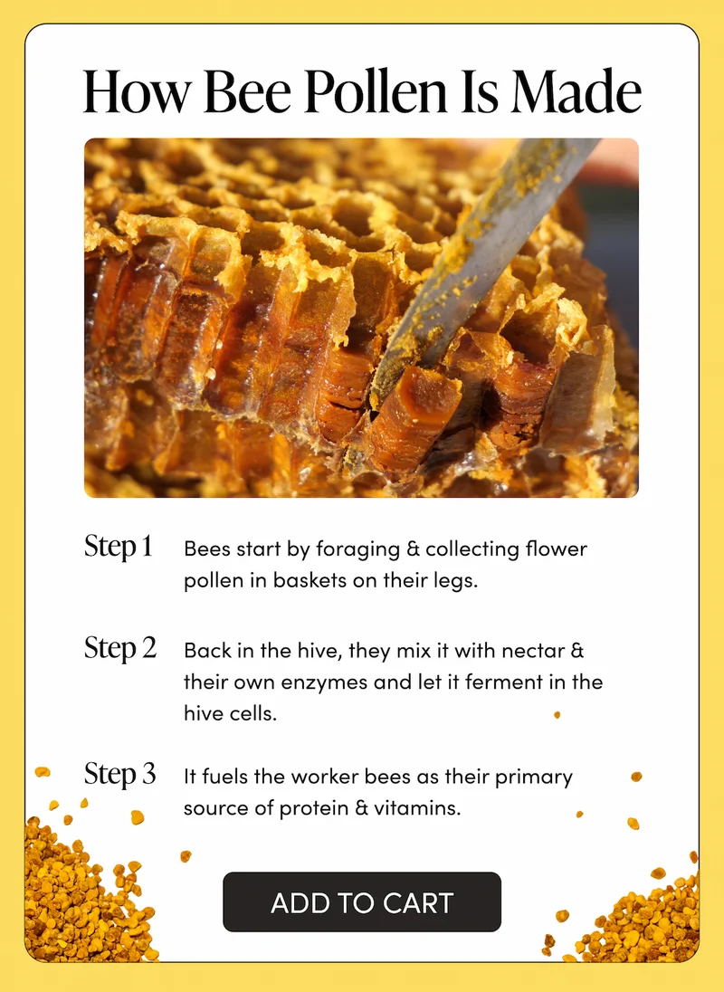 How Bee Pollen Is Made         STEP 1: Bees start by foraging & collecting flower pollen in baskets on their legs.    STEP 2: Back in the hive, they mix it with nectar & their own enzymes and let it ferment in the hive cells.      STEP 3: It fuels that worker bees as their primary source of protein & vitamins.