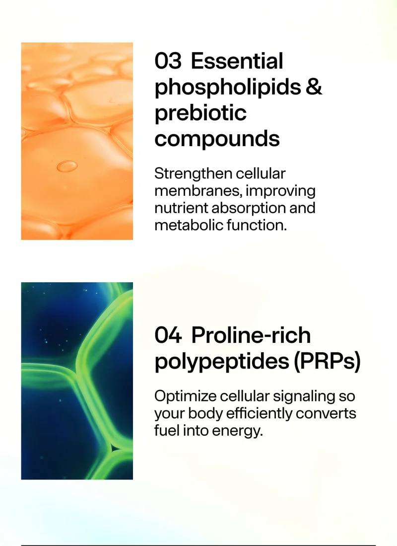 03 Essential phospholipids & prebiotic compounds 04 Proline-rich prolypeptides (PRPs)
