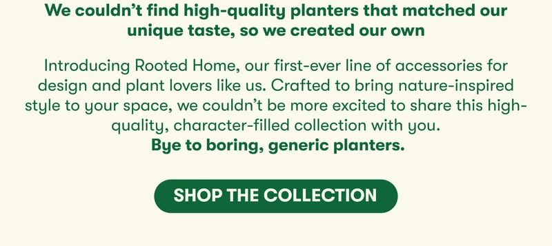 We couldn’t find high-quality planters that matched our unique taste, so we created our own   Introducing Rooted Home, our first-ever line of accessories for design and plant lovers like us. Crafted  to bring nature-inspired style to your space, we couldn’t be more excited to share this high-quality, character-filled collection with you.   Bye to boring, generic planters.   [SHOP THE COLLECTION]