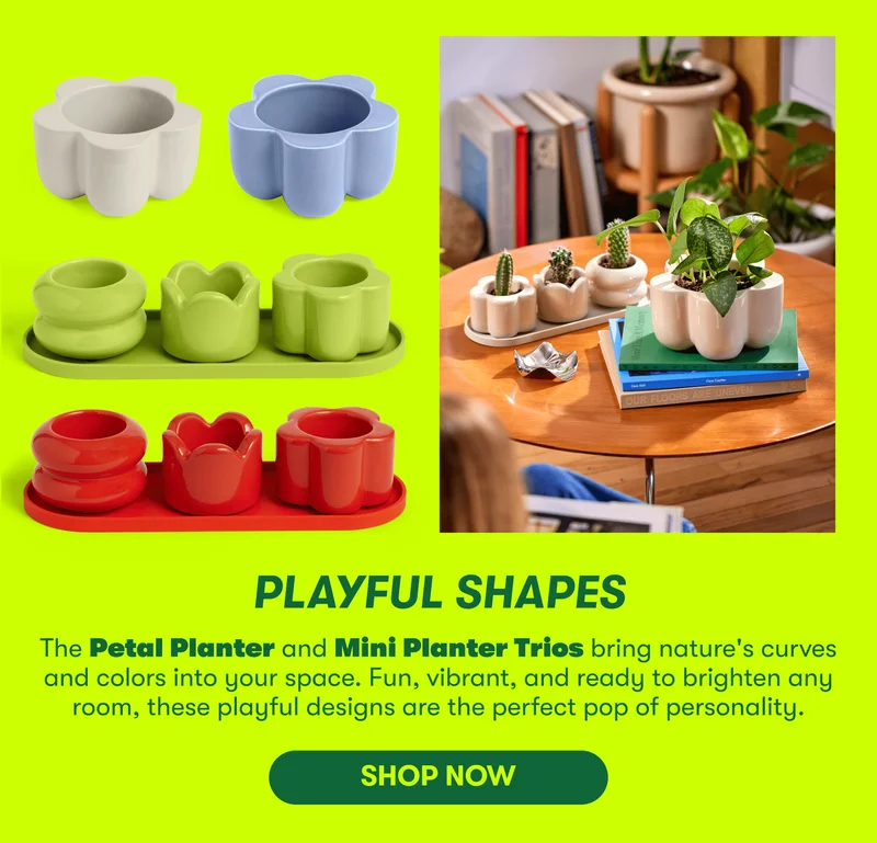 playful Shapes  The Petal Planter and Mini Planter Trios bring nature's curves and colors into your space. Bold, vibrant, and ready to brighten any room, these playful designs are the perfect pop of personality. [ SHOP NOW]