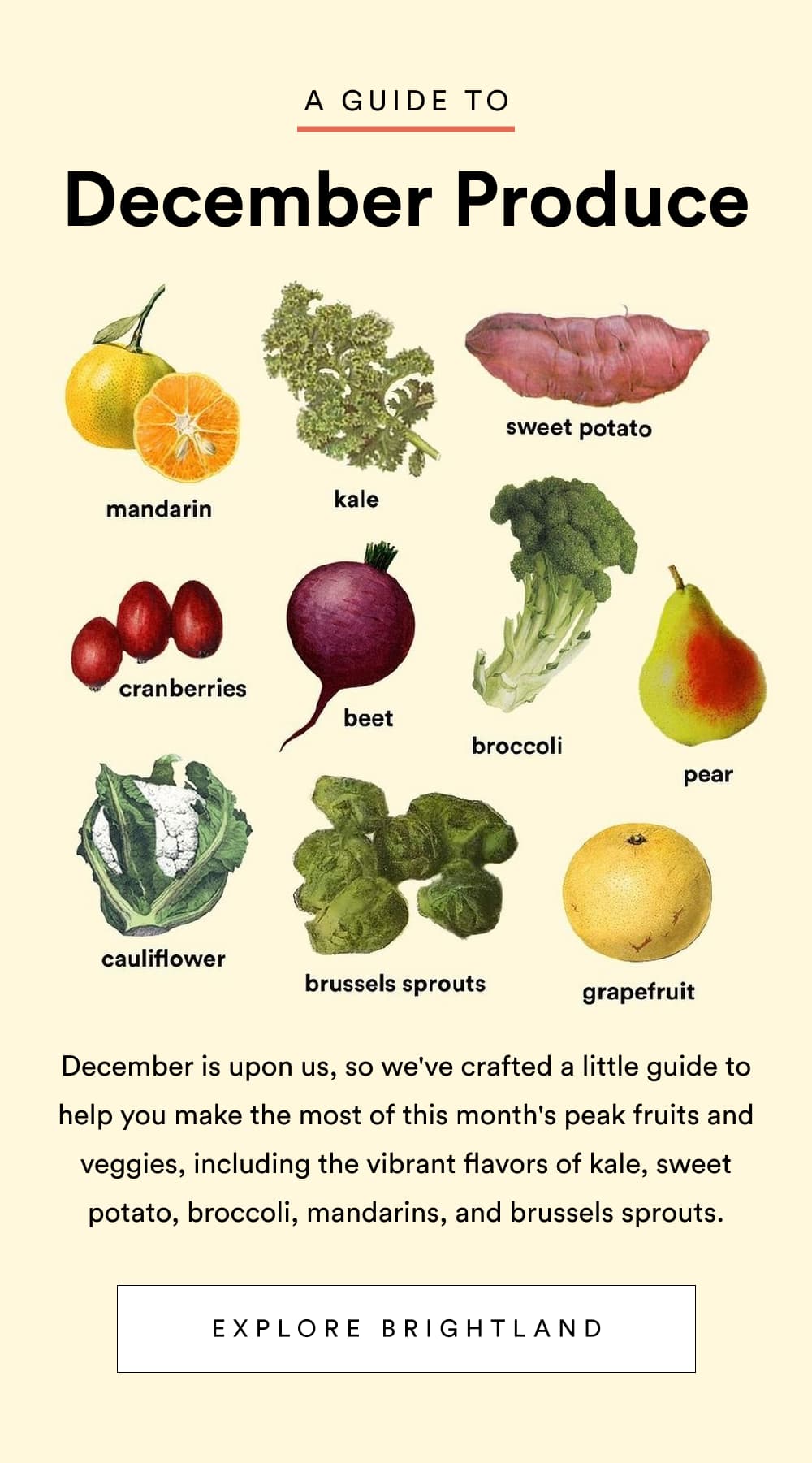 A Guide To December Produce [ Explore Brightland ]
