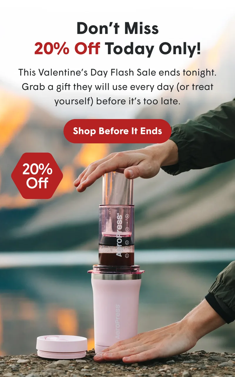 20% off today only