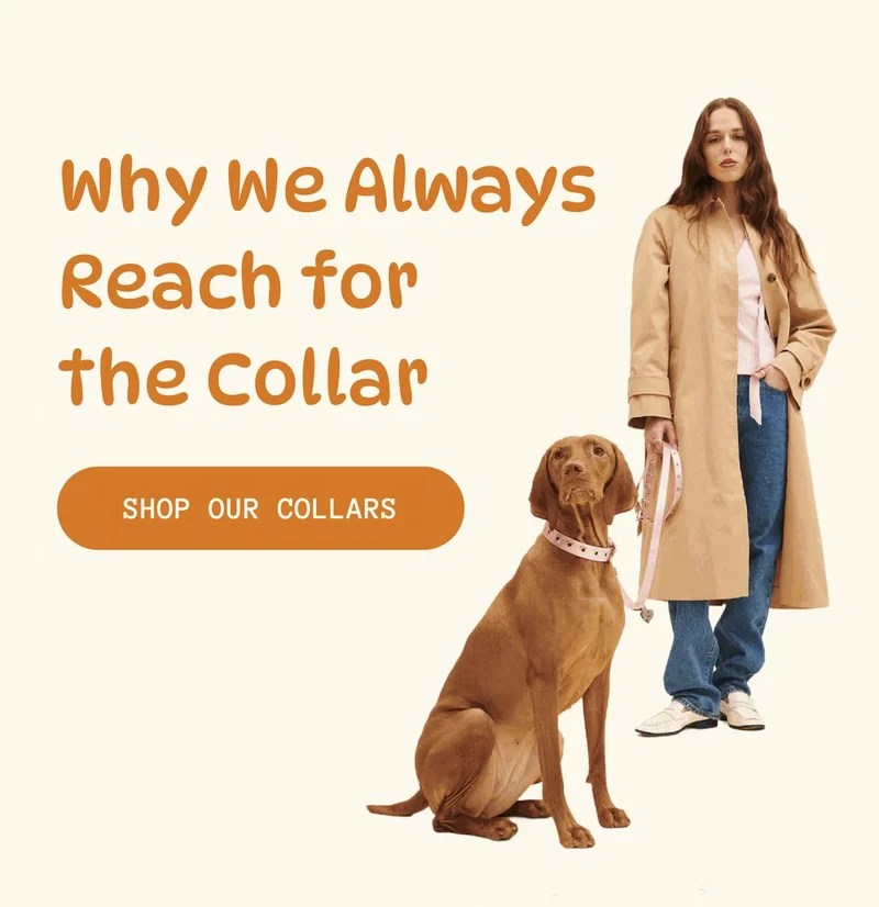 Why We Always Reach for the Collar