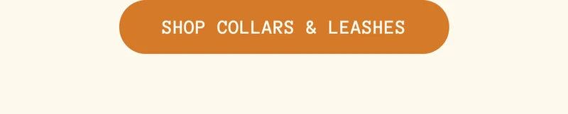 Shop Collars & Leashes