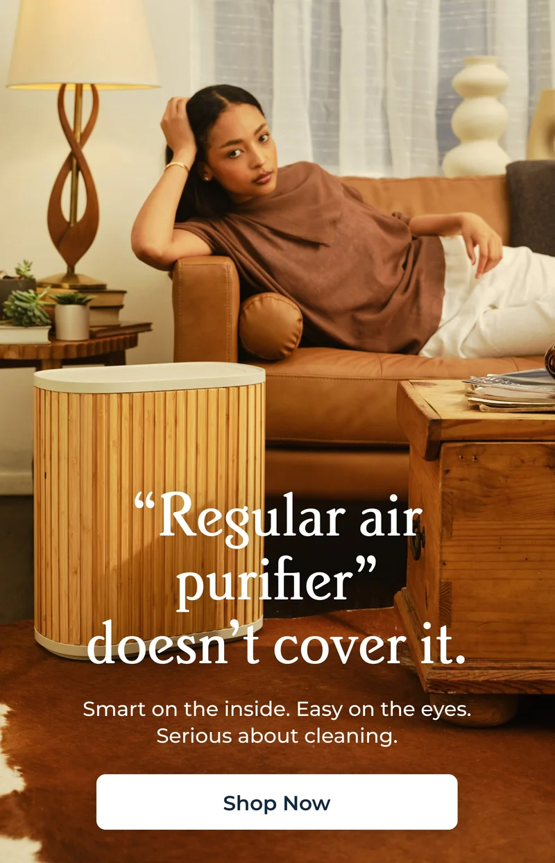 “Regular air purifier” doesn’t cover it.