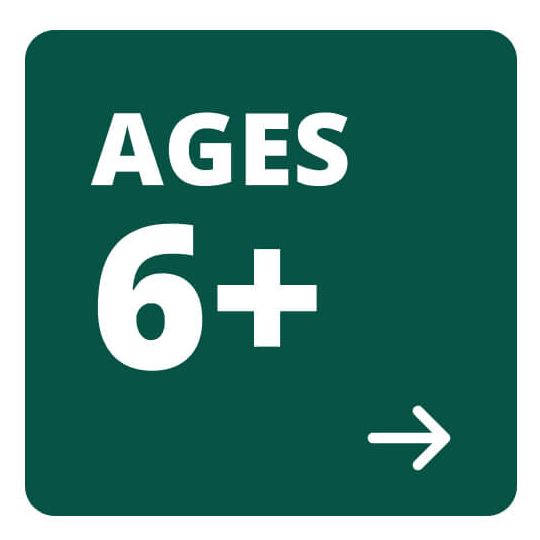 Ages 6 +