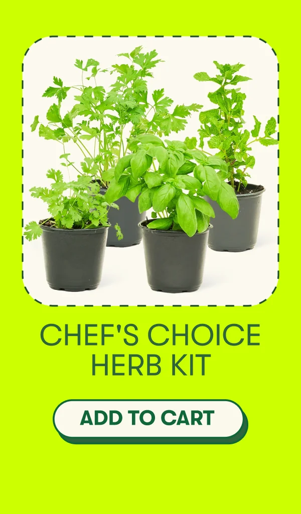 Chef’s Choice Herb Kit [ADD TO CART]